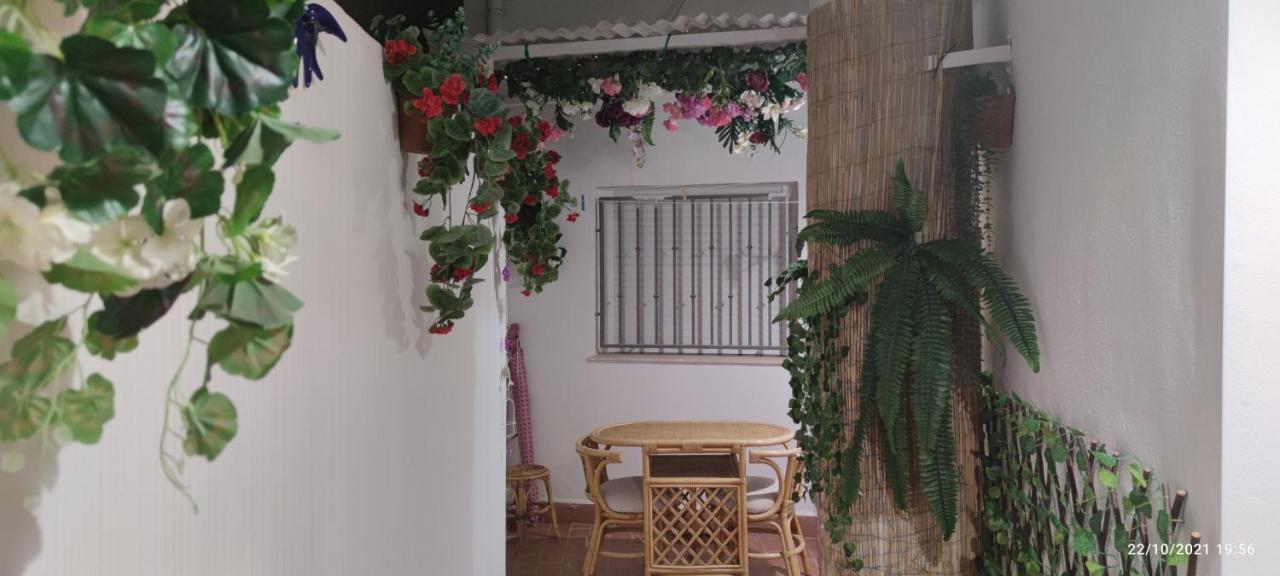Tus Vacaciones En El Corazon De Alicante! 외부 사진